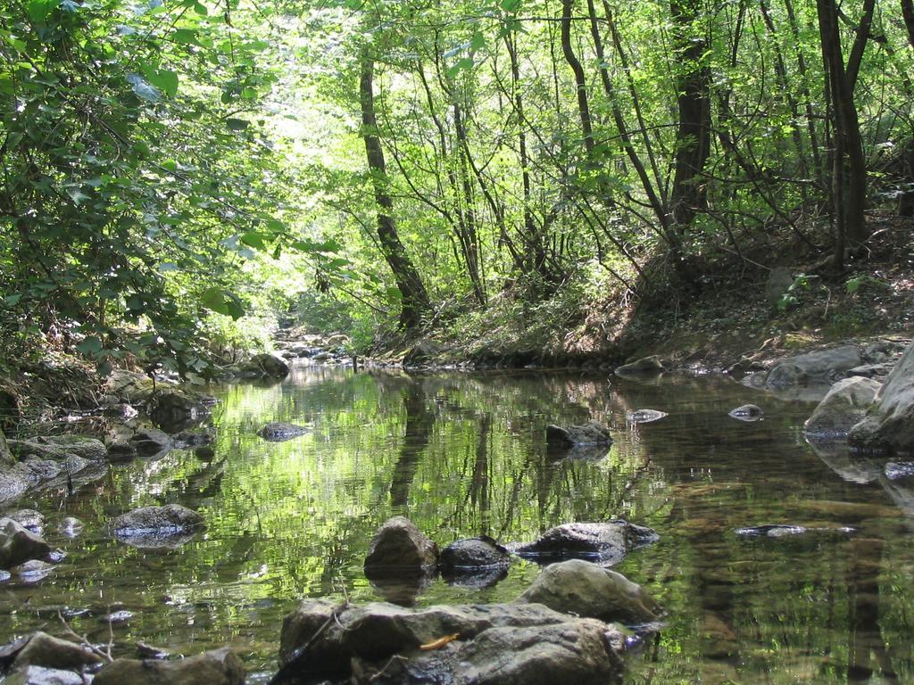 Rosandra Panzió San Dorligo della Valle Kültér fotó
